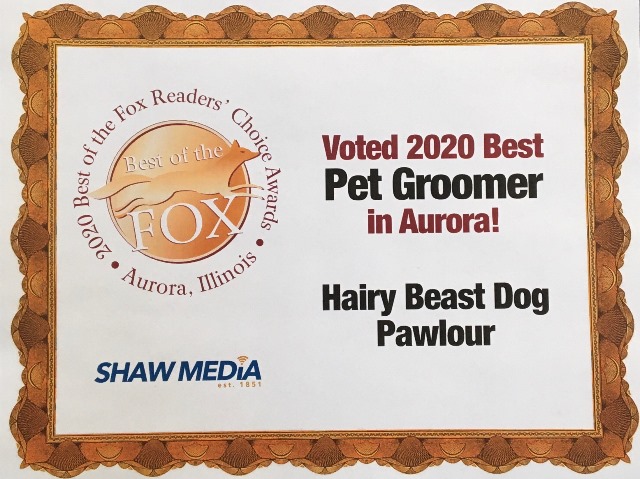 Hairy Beast Dog Pawlour Aurora Il Hairy Beast Dog Pawlour Aurora Il